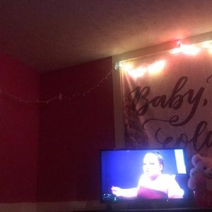 fire stick TV smart TV